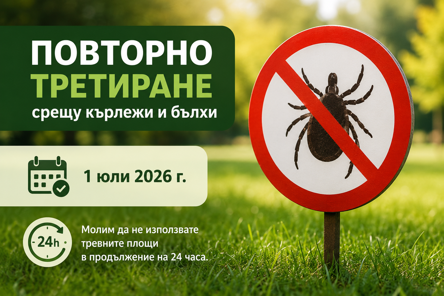 0042f6ca-b6bc-41df-8ec2-c3d42e4e191f.png